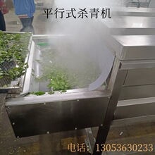 毛豆加工设备 毛豆漂烫杀青线 黄花菜加工机械 野菜蒸煮漂烫机器
