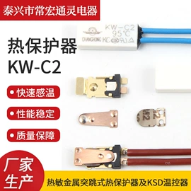 开关元件;保护器件;温度保险丝