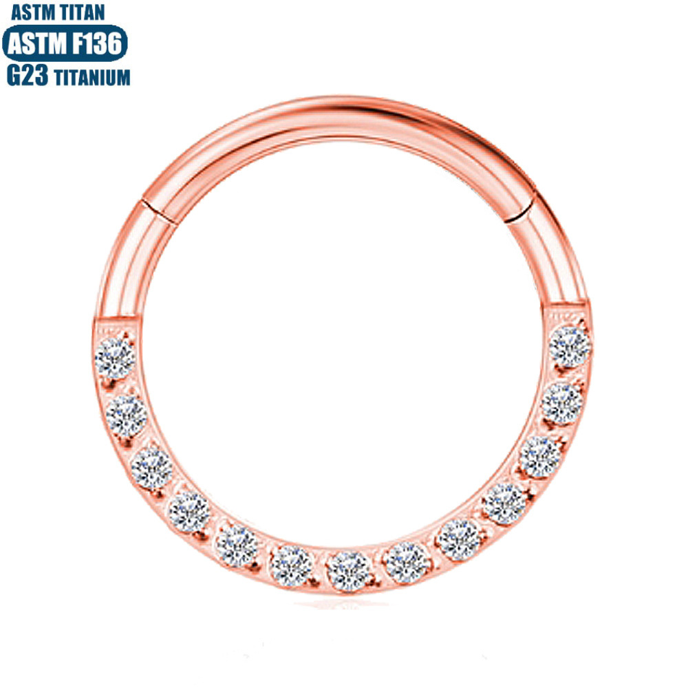 F136 Implant Grade Titanium Alloy Nose Ring Earring with Zircon CNC Seamless Ring - Fashion Geometric Jewelry detail image 17