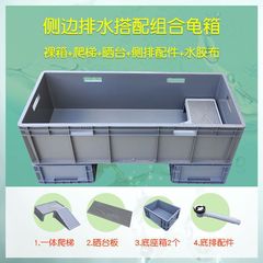 亀のかめは亀のかめのプラスチックのかめの箱を育てます。