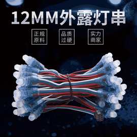 厂家直销5V12mm全彩线长10cm外露LED灯串广告装饰穿孔灯圣诞