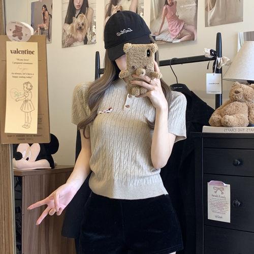 2025 Spring New Design Short-Sleeve Knitted Embroidered Sausage Dog Cable Knit T-Shirt for Women