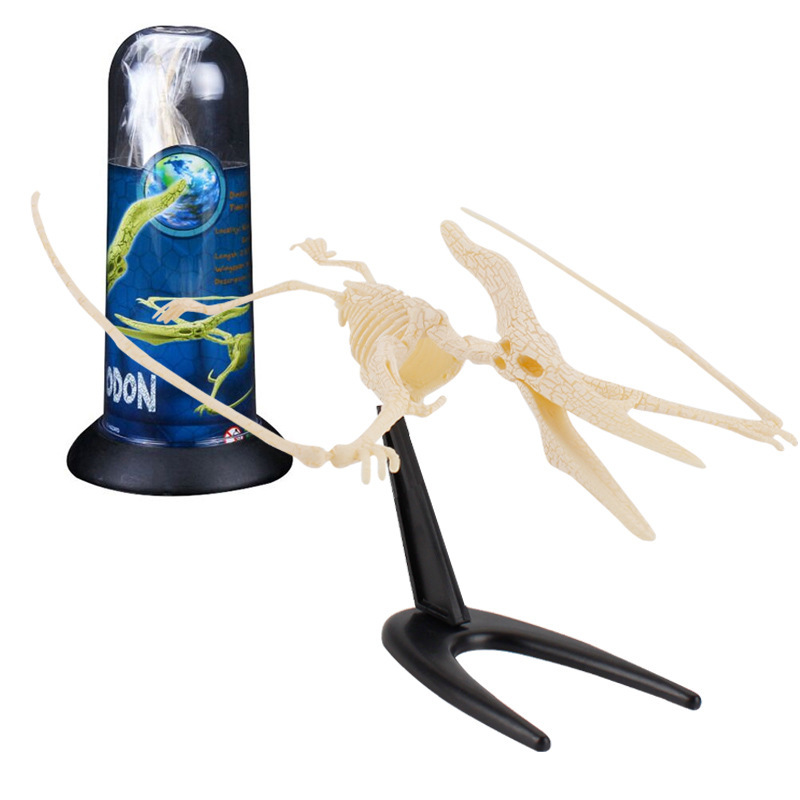 Transfronterizos de venta caliente simulación sólida modelo de cráneo de dinosaurio estático T. rex Velociraptor esqueleto arqueológico juguetes para niños