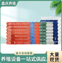 漏粪板 猪用保育床地板 养猪设备机械猪栏兽用 母猪产床塑料漏板