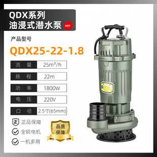 Shanghai Beikun National Standard Submersible Pump 220V380V Water Well Clean Water Pump Agricultural Irrigation Household Large Flow High Lift