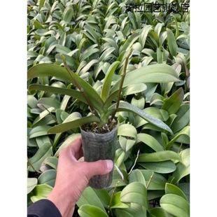 �����m���������������m�����ԾGֲ���҃ȿ͏d���B��