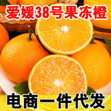 四川爱媛38号果冻橙新鲜采摘当季橙子薄皮爆汁水果爱媛橙子果冻橙