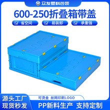 供应600-250塑料水果蔬菜折叠箱可带盖PP折叠周转箱塑胶中转箱子