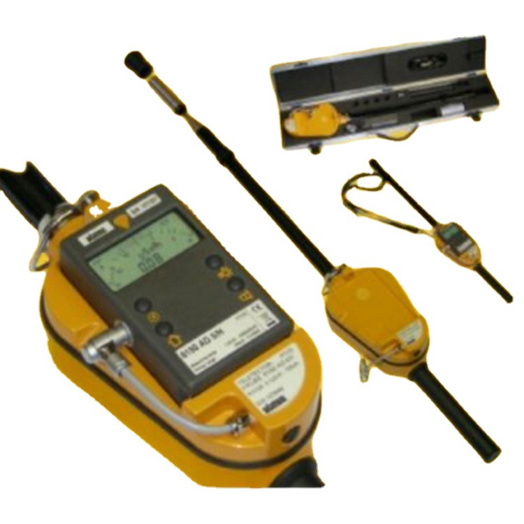 德国AUTOMESS 6150AD5+6150AD-T手持式长杆辐射仪