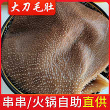 大叶片小叶片稀皮叶片毛肚边角料脆毛肚火锅串串冒菜自助餐中餐