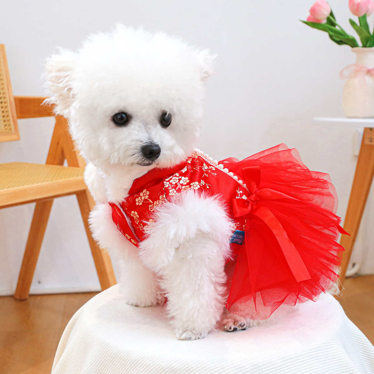 공장 직접 공급 | 대외 무역 재고 애완 동물 옷 개 고양이 의류 번영 새해 치마