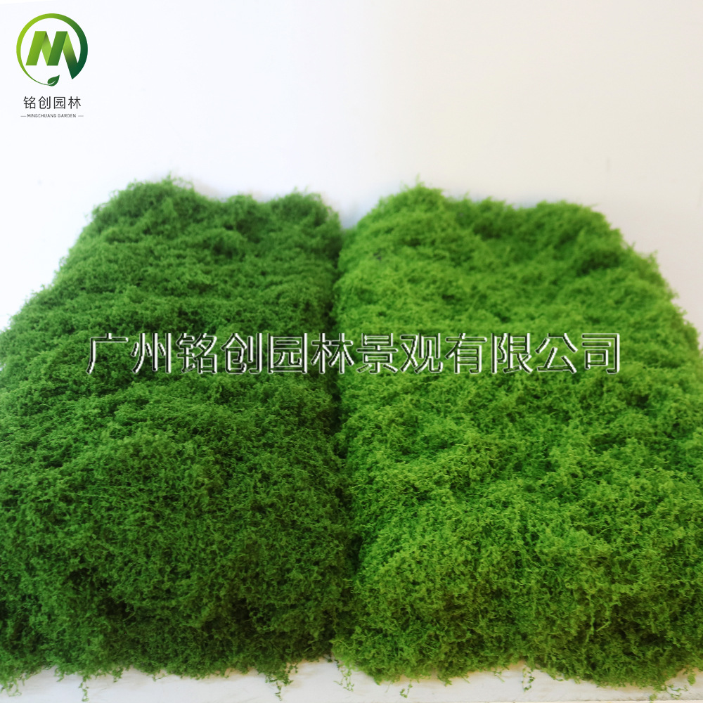 Simulación de decoración de micropaisaje de musgo, césped de musgo falso, musgo filamentoso, plantación verde, simulación de paisajismo, musgo