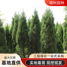 �ɘ���Ȱ� ��u������ �u���}�Q�� ���ؘ��� ������̰�ռ�ؘ���