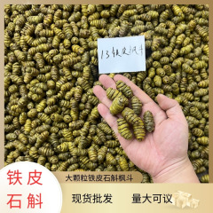 デンドロビウム デンドロビウム Fengdou 1kg 大粒子デンドロビウム 良い接着剤 プロの卸売 大量価格 優れたデンドロビウム デンドロビウム
