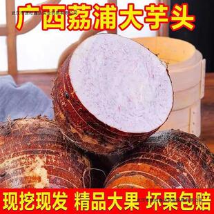 �V���������r�����^10������F�ڷ������خa����������ë���^