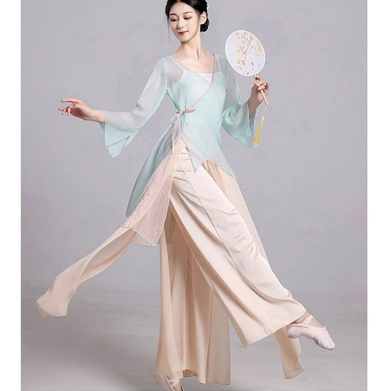 Ropa de danza clásica de mujeres vestidos de gaza elegante vestidos de danza vestidos de entrenamiento de danza vestidos de mujeres vestidos de rendimiento vestidos de chiffon de estilo antiguo fábrica