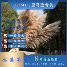 ����Ȕ�ɻ��W�t�JȔ�ɻ�����˹�ݻ�c�Ҿ��b��W�L��Ȼ�L���JȔ