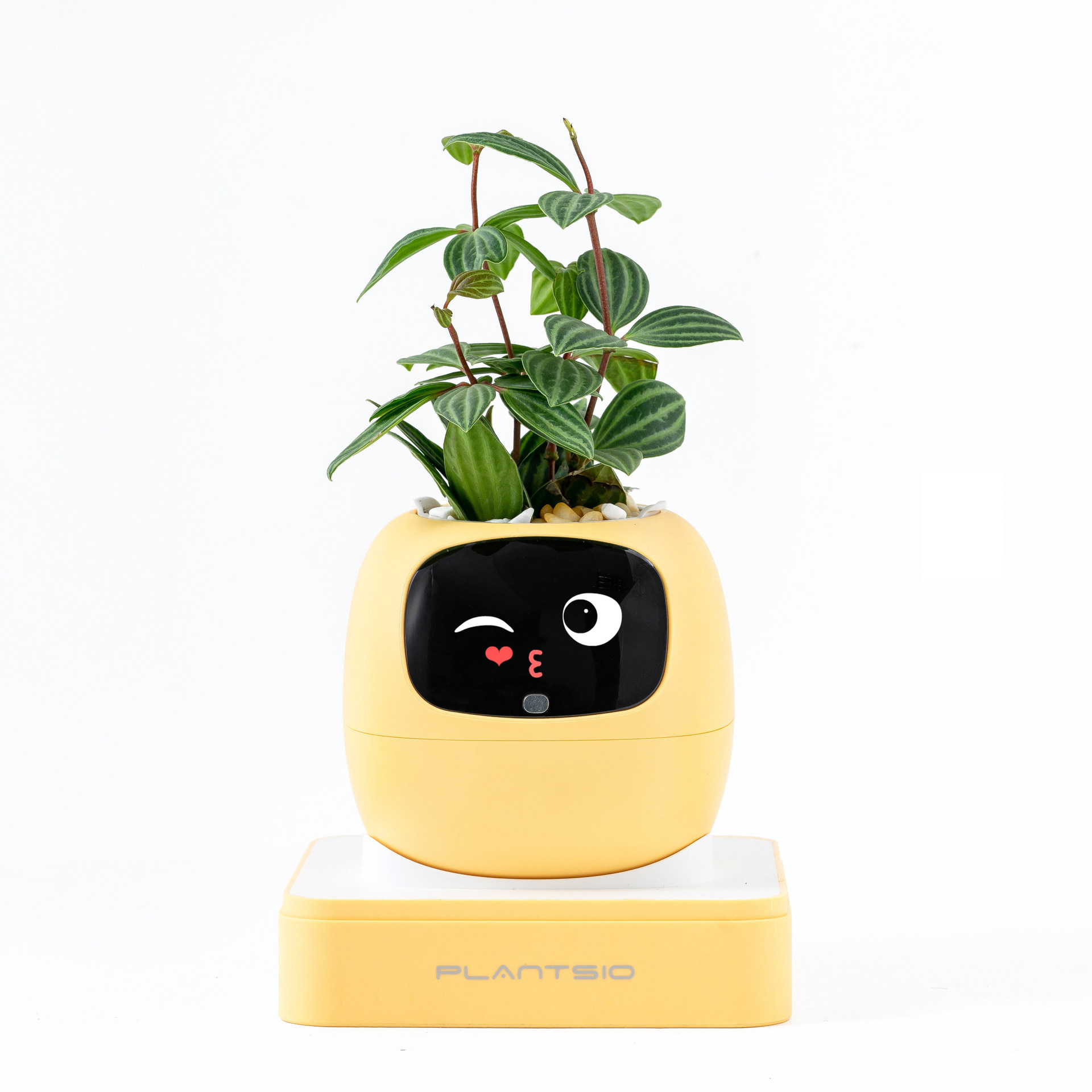 Intelligent automatic pet mood robot flower pot