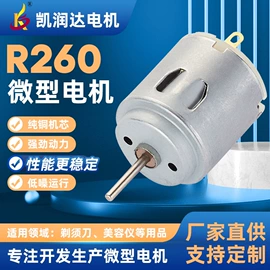 微型电动机
