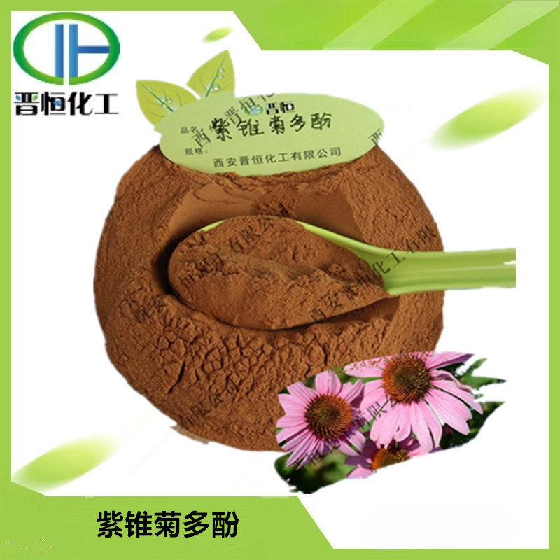 紫锥菊多酚 4% 紫锥菊提取物  紫松果菊提取物1KG起订现货