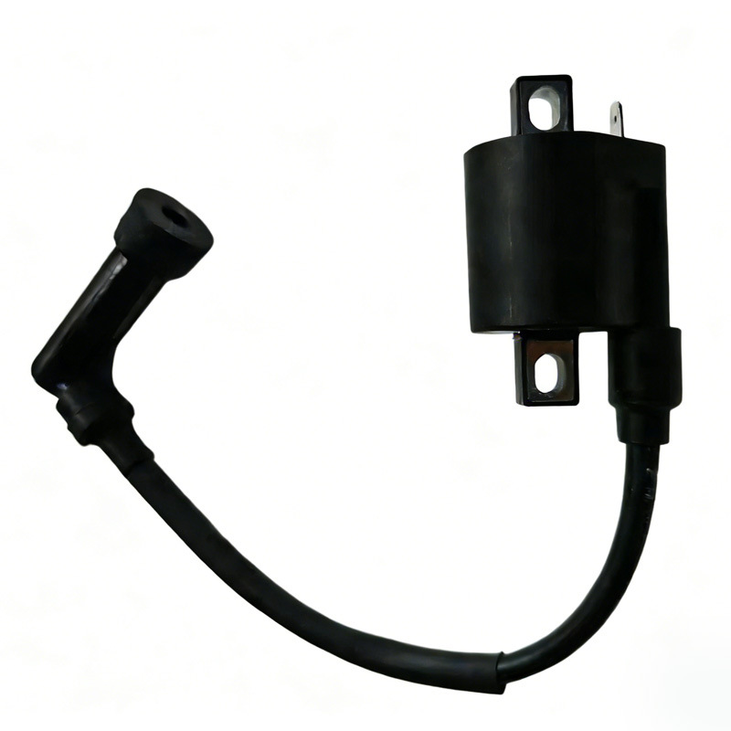 Bosuer M6 J-1 Extreme Thief 4 Kews Hengjian Zongshen Cbs300 Voltage Regulator Igniter Rectifier