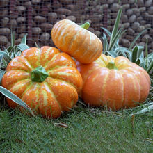 仿真南瓜假水果蔬菜室內裝飾擺件工藝品工廠批發拍照道具模型花藝