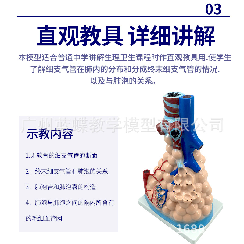 �β�ģ�� ���ͷ��ݷŴ�ģ���������������ģ�� �����ѧģ��