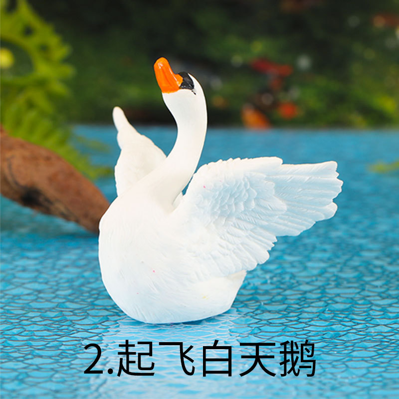 화이트 스완 이륙