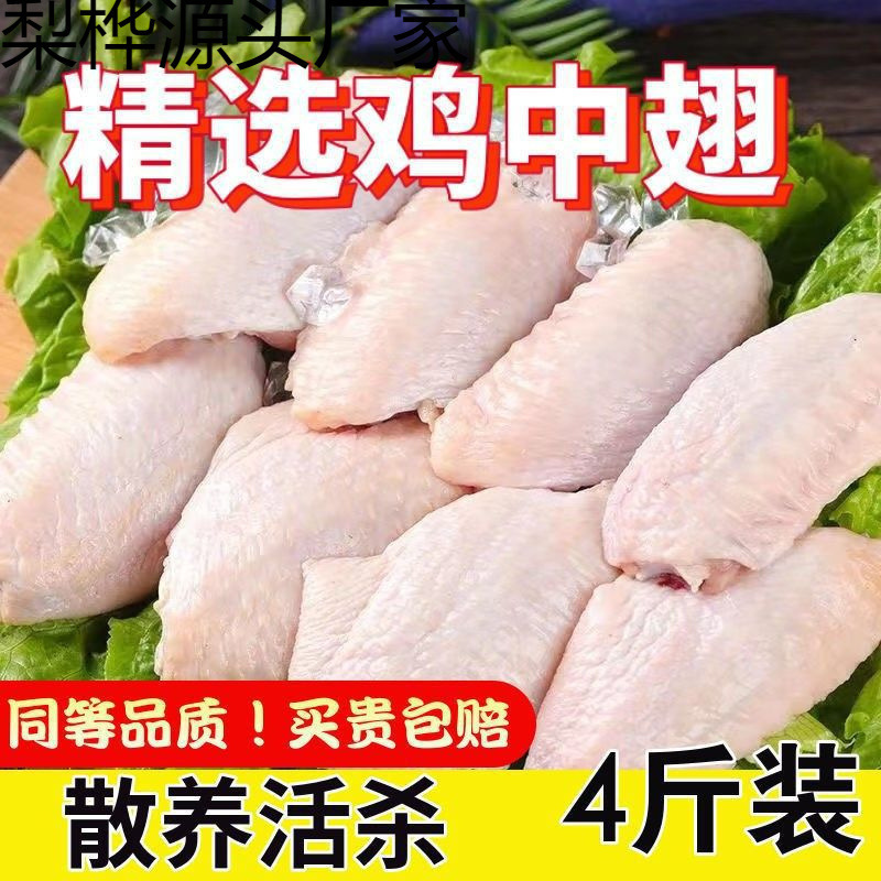 Fresh Frozen Chicken Wings, Large Chicken Wing Tips, Grilled Wings, Cola Chicken Wings, Fresh Ingredients for Commercial Wholesale Fresh Frozen Chicken Wings, Large Chicken Wing Tips, Grilled Wings, Cola Chicken Wings, Fresh Ingredients for Commercial Wholesale