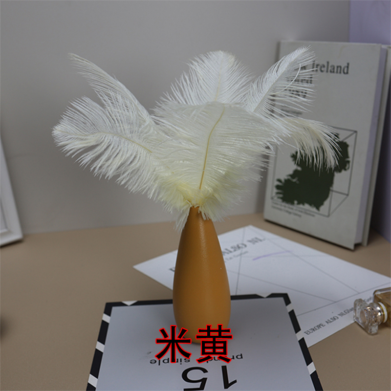 Plumas de avestruz bodas blancas de avestruz guía de plumas accesorios de fotos adornos rojo rosado en línea grandes plumas decoración