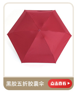 绍兴上虞兰芳伞厂+详情（彩虹伞）_03_03