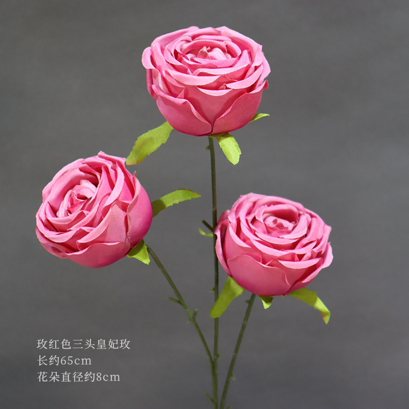 Rosa roja de tres cabezas Imperial Concubine Rose