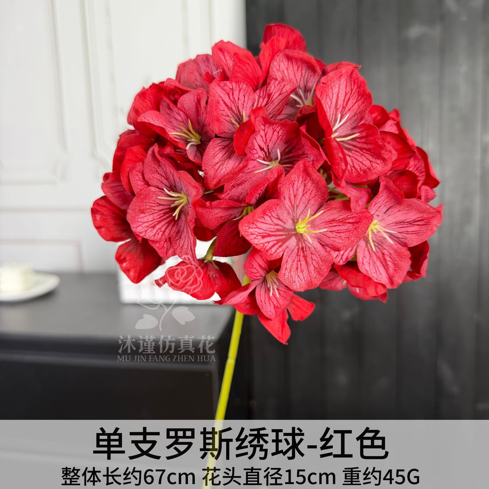 단일 로즈 수국