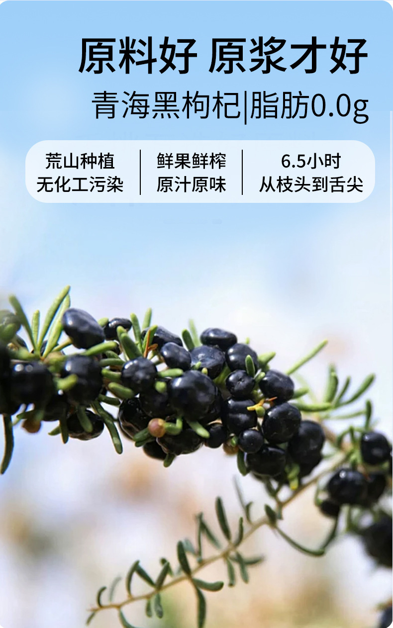 Black Goji Berry Puree Juice Sachets Ready to Eat Herbal Drink 30ml x 10 key features