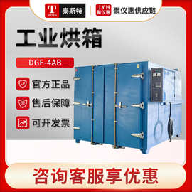 天津泰斯特DGF-4AB/5AB/6AB/7AB 工业烘箱高温工业烤箱