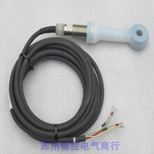 *�ֻ�����*ȫ��E+H����˹��˹�絼�ʵ缫CLS50-A1A1�ֻ�T=125C