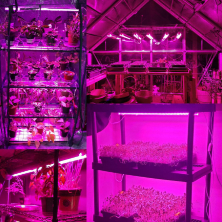 ��ѧר�������Ʒ�̫��ledֲ��������ȫ���������ƹ�T8������