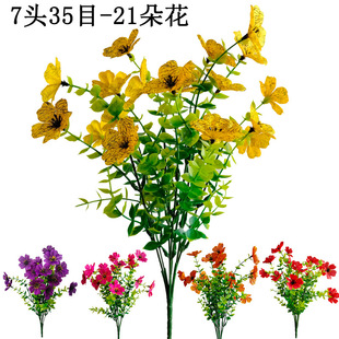 �羳���N7���ȼ������_�m���滨�ٻ����ϻ��Ҿӑ���ͥԺ���컨