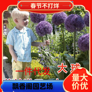 һ�����l���m�M�ڴ��[�N���ʹ����҃������ļ�ͥԺ�Gֲ������