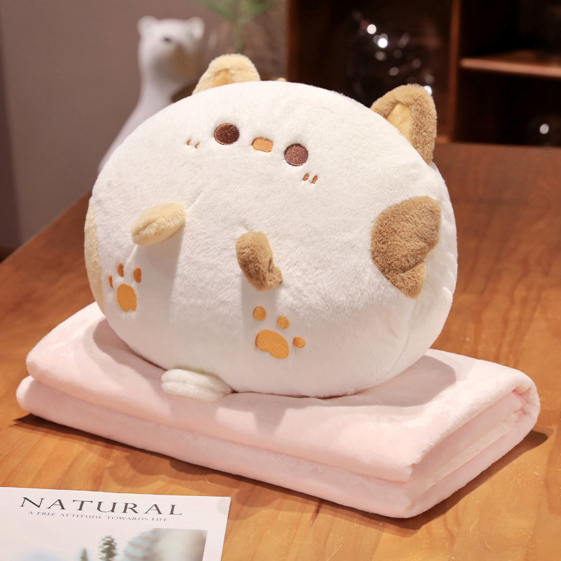 고양이