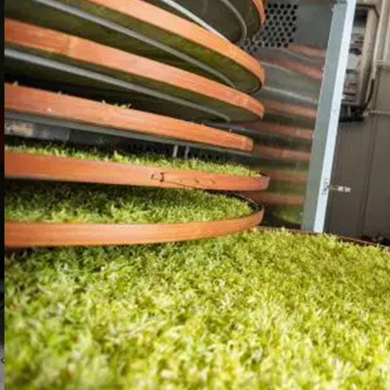 ��Ƥʯ����ɻ����� ʯ���������ܺ�ɻ��׿��ȱú�ɻ����ҹ�Ӧ