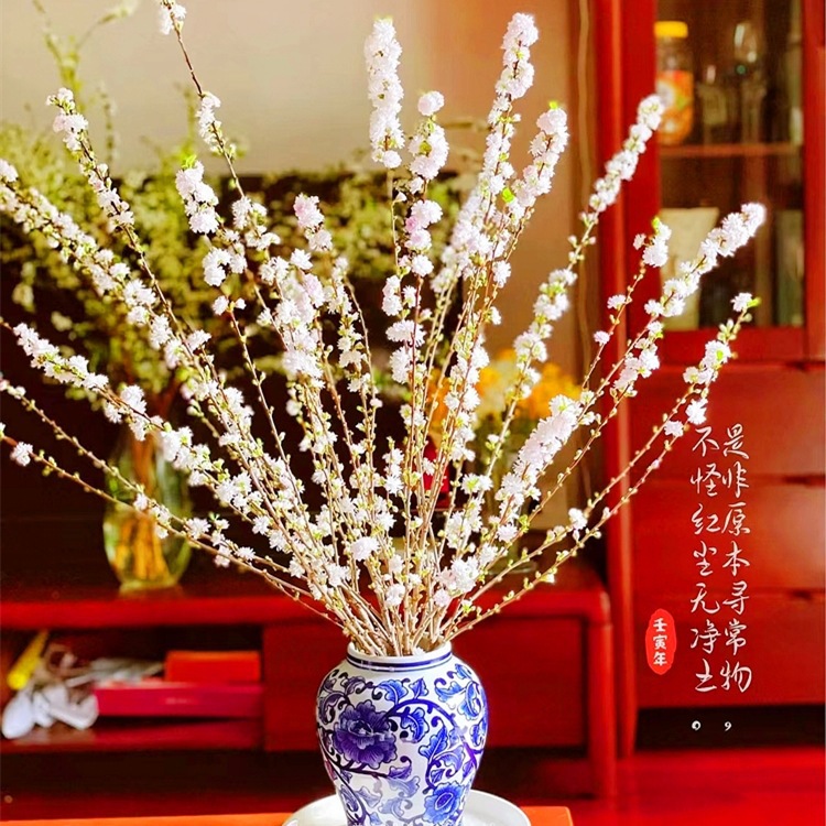 干枝鲜切花枝重瓣珍珠李花束遇水开花重瓣水养植物泡水开花