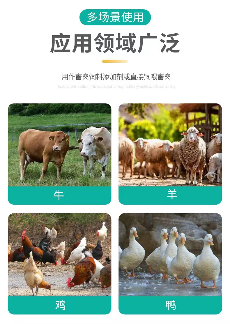 微信图片_20240801092906