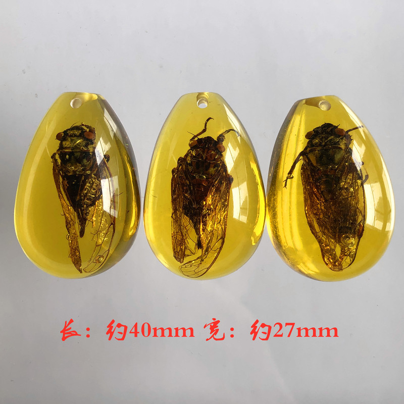 儿童挖掘考古昆虫标本 合成树脂琥珀昆虫 散装水滴盲盒标本现货|undefined
