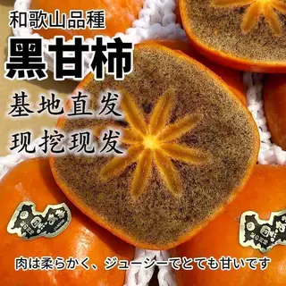 新品种和歌山黑糖柿子苗好吃不涩脆甜无核黑肉脆柿子树苗嫁接果树