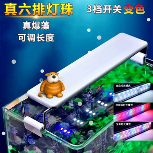 Fish Tank Lamp Led Lighting Energy-Saving Lamp Aquatic Plant Lamp Full Spectrum Aquarium Bracket Zeng Yan Lamp Colorful Small Ornamental Lamp