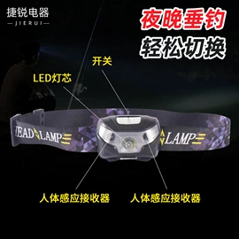 野营/露营灯;阅读台灯;头灯头戴电筒