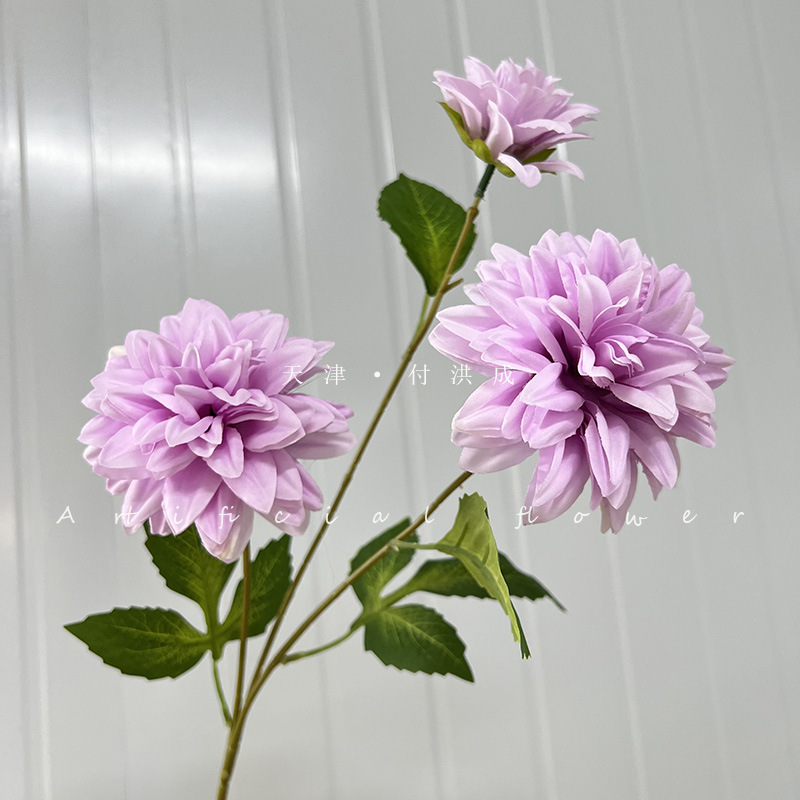 화려한 꽃-라이트 퍼플