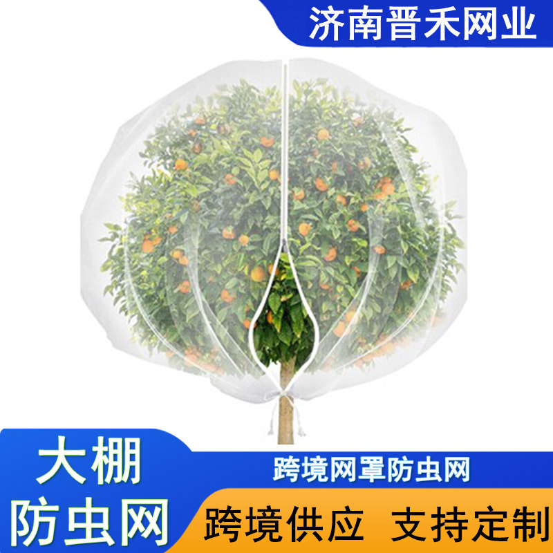 防虫网罩网袋跨境厂家水果套袋樱桃杨梅莲雾枇杷规格齐全防蚊