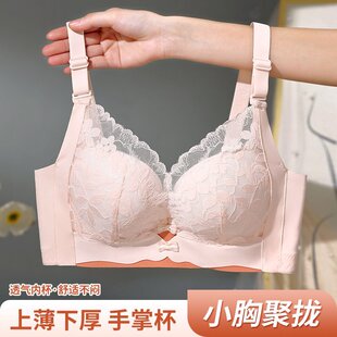 �����ٽzС���@����V���������lW���[�γ������w���Ʊ�����U��